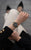 il Ponte di Rialto, Venezia - President Bracelet / Swiss Movement.