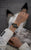 La Scala - President Bracelet / Swiss Movement.