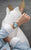 Castello di Miramare - President Bracelet / Swiss Movement.