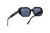 Belvedere Palace / Black + Dark Black Lens.