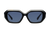 Belvedere Palace / Black + Dark Black Lens.