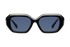 Belvedere Palace / Black + Dark Black Lens.