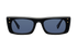 Berlin Wall / Black + Dark Black Lens