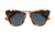 Piazza San Marco / Tortoise & Gold Color + Dark Black Lens.